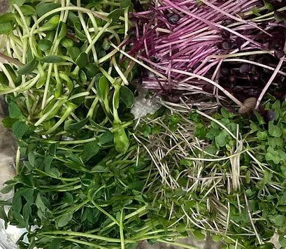 Confetti Mix Microgreens